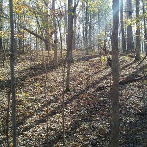 Meet your Posher, Hunter